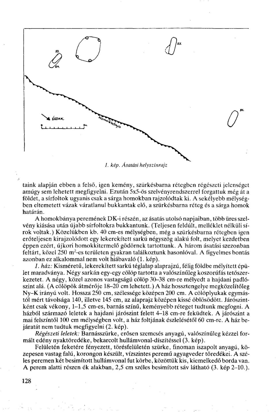 A sekélyebb mélységben eltemetett vázak váratlanul bukkantak elő, a szürkésbarna réteg és a sárga homok határán.