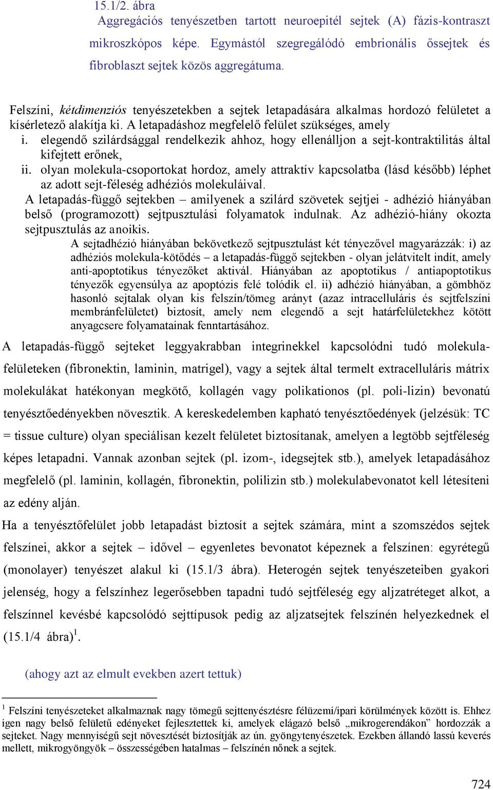 elegendő szilárdsággal rendelkezik ahhoz, hogy ellenálljon a sejt-kontraktilitás által kifejtett erőnek, ii.