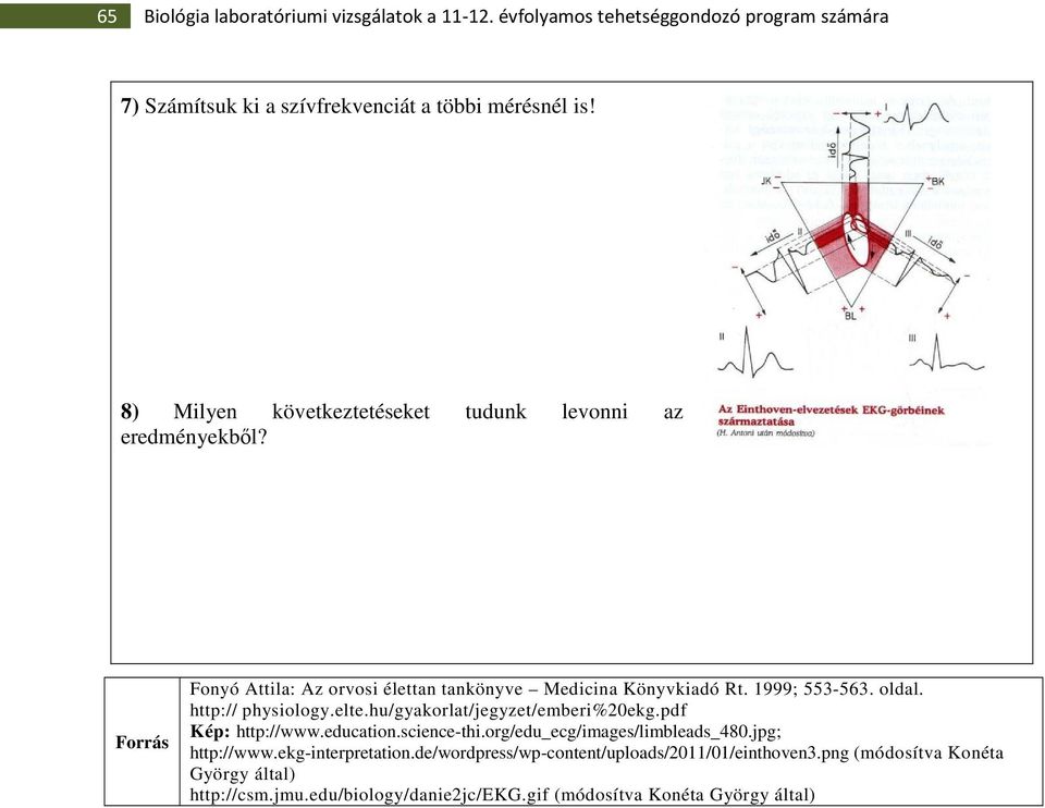 http:// physiology.elte.hu/gyakorlat/jegyzet/emberi%20ekg.pdf Kép: http://www.education.science-thi.org/edu_ecg/images/limbleads_480.jpg; http://www.