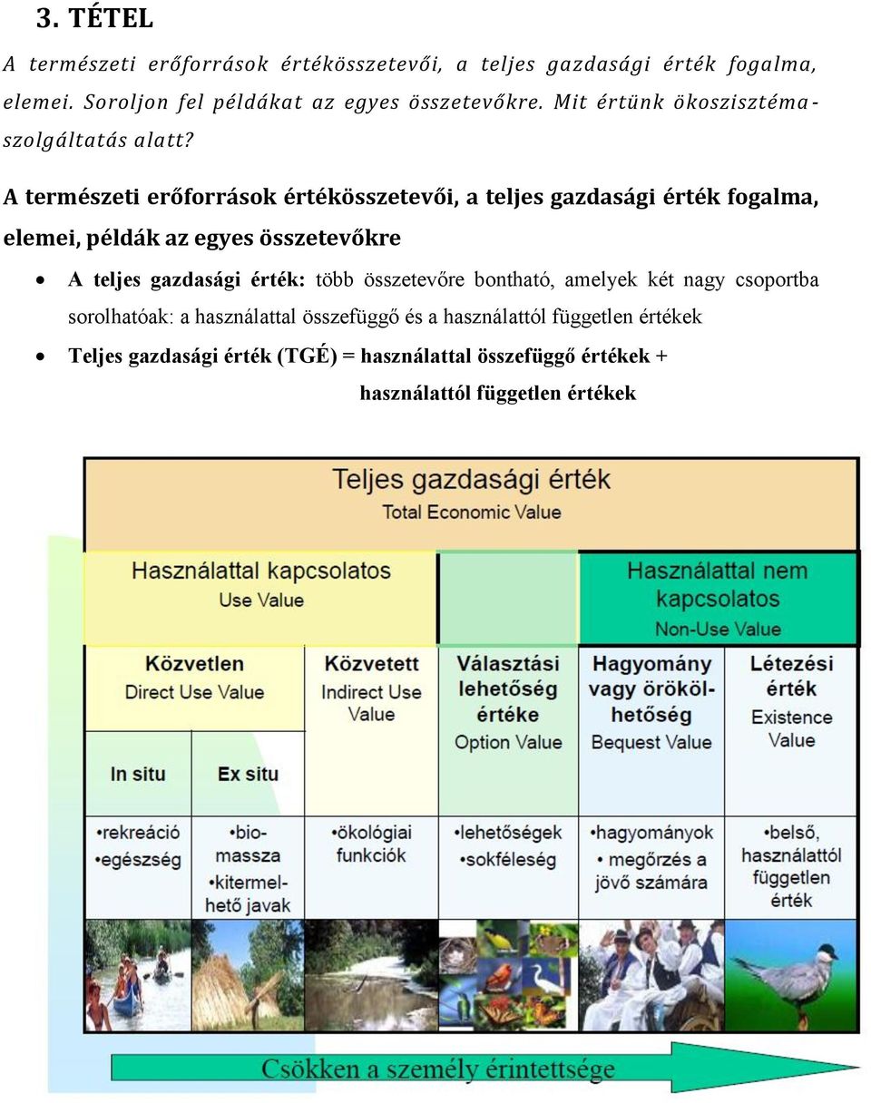 A természeti erőforrások értékösszetevői, a teljes gazdasági érték fogalma, elemei, példák az egyes összetevőkre A teljes gazdasági