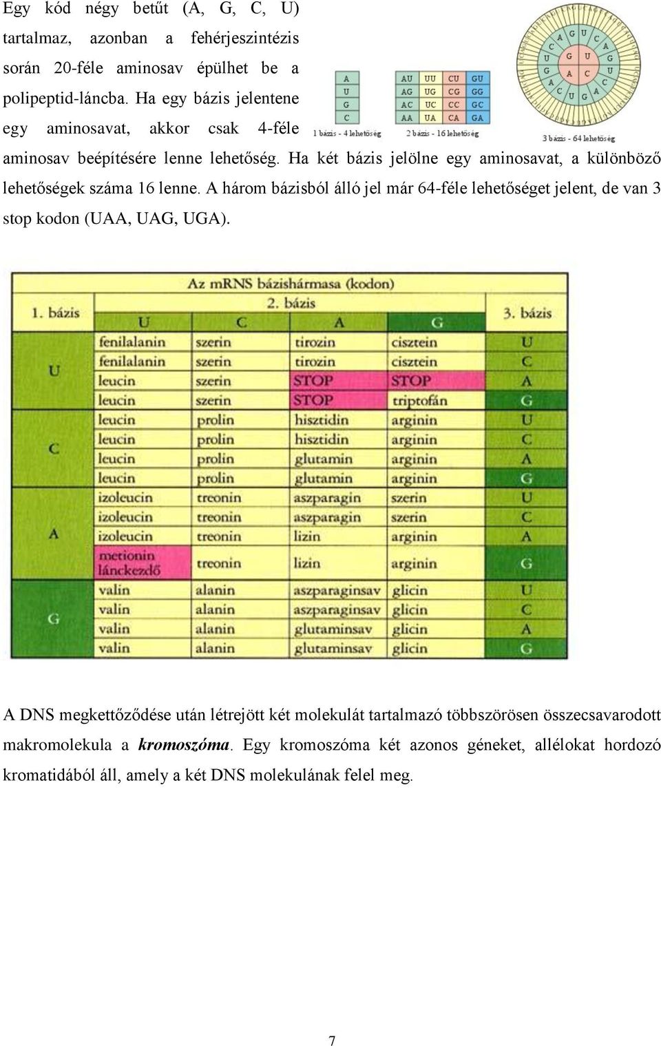 Ha két bázis jelölne egy aminosavat, a különböző lehetőségek száma 16 lenne.