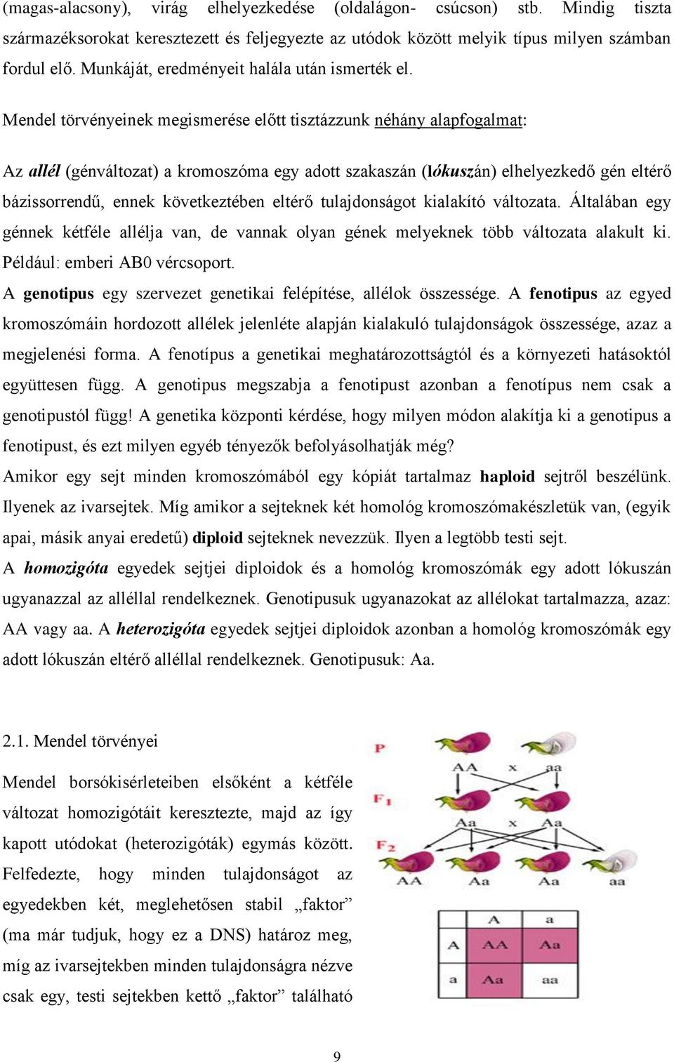 Mendel törvényeinek megismerése előtt tisztázzunk néhány alapfogalmat: Az allél (génváltozat) a kromoszóma egy adott szakaszán (lókuszán) elhelyezkedő gén eltérő bázissorrendű, ennek következtében