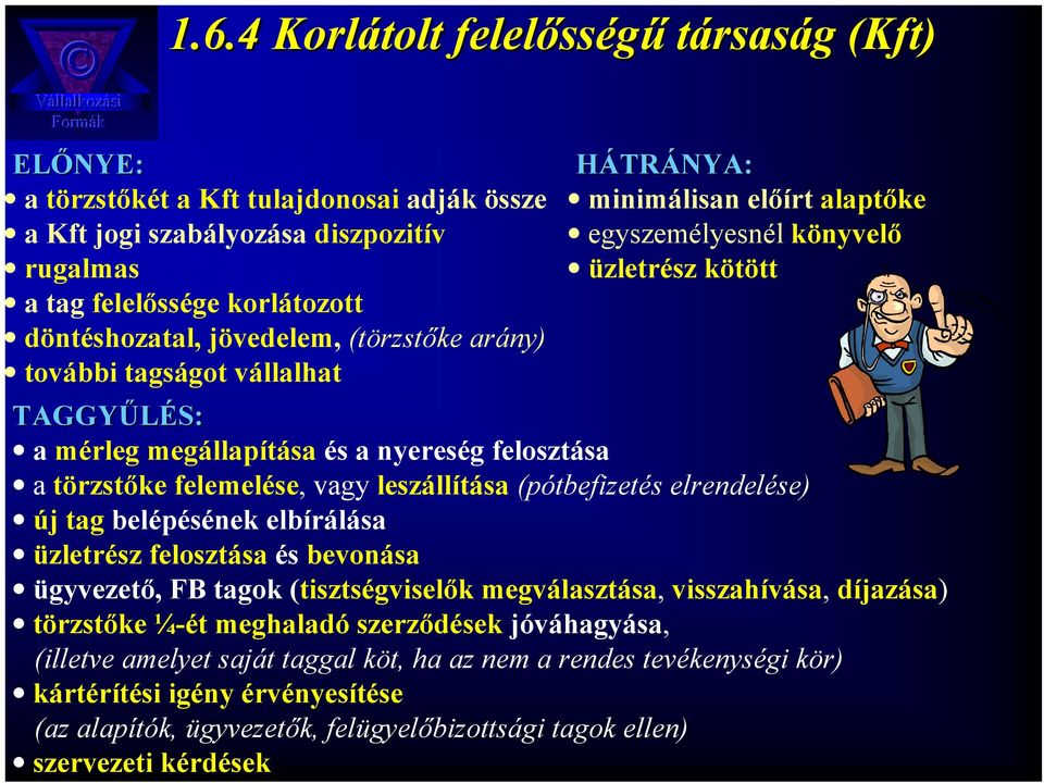 törzstőke felemelése, vagy leszállítása (pótbefizetés elrendelése) új tag belépésének elbírálása üzletrész felosztása és bevonása ügyvezető, FB tagok (tisztségviselők megválasztása, visszahívása,