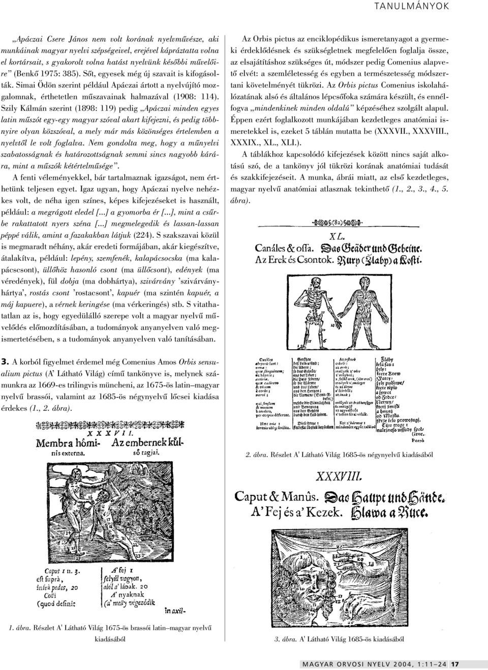 Szily Kálmán szerint (1898: 119) pedig Apáczai minden egyes latin mûszót egy-egy magyar szóval akart kifejezni, és pedig többnyire olyan közszóval, a mely már más közönséges értelemben a nyelvtôl le