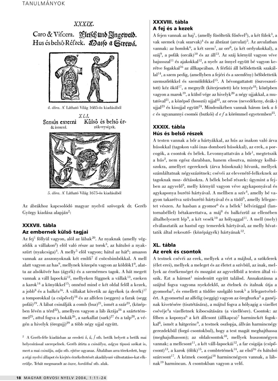 Az arculatban vannak: az homlok 6, a két szem 7, az orr 8, (a két orrlyukokkal), a száj 9, a pofák (orcák) 10 és az áll 13.