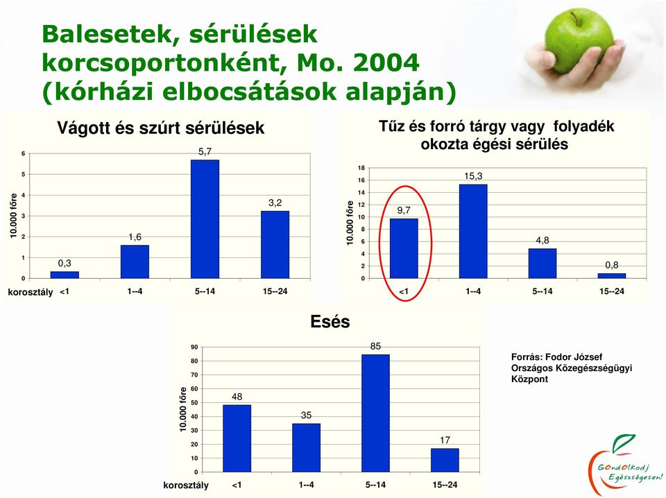 égési sérülés 5 18 16 15,3 10.000 fıre 4 3 2 1,6 3,2 10.