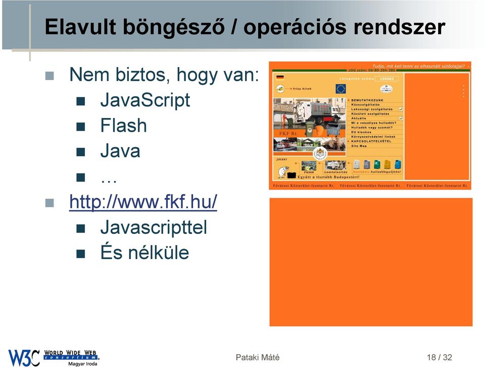 JavaScript Flash Java http://www.fkf.