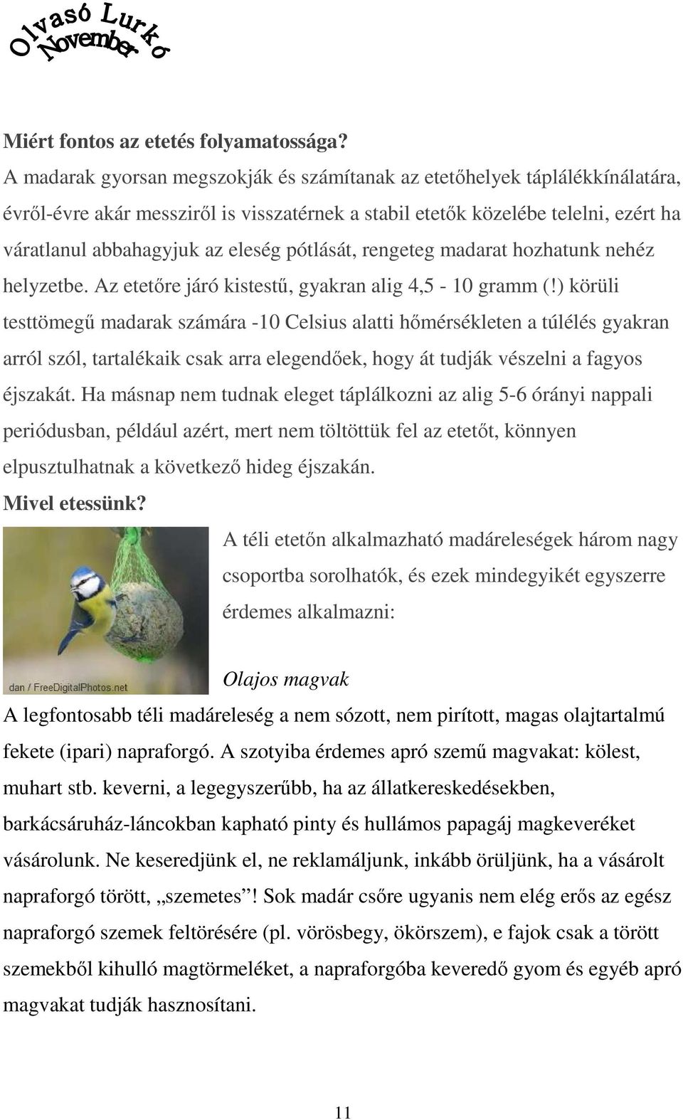 pótlását, rengeteg madarat hozhatunk nehéz helyzetbe. Az etetőre járó kistestű, gyakran alig 4,5-10 gramm (!