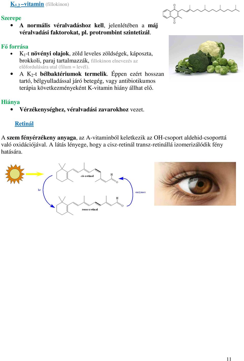 A K 2 -t bélbaktériumok termelik. Éppen ezért hosszan tartó, bélgyulladással járó betegég, vagy antibiotikumos terápia következményeként K-vitamin hiány állhat elő.