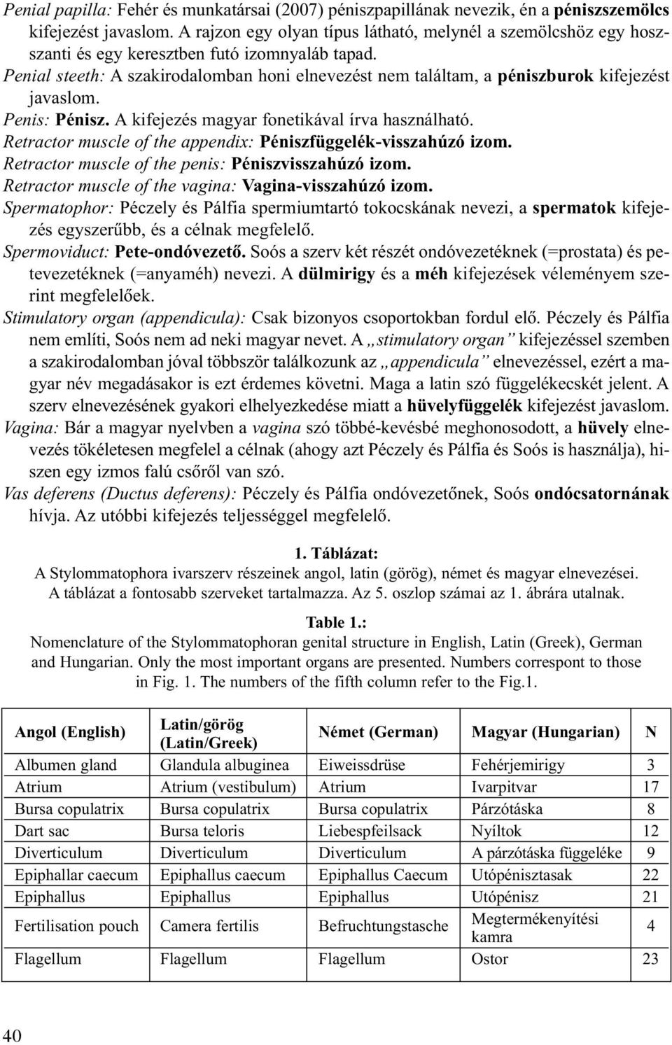 Penial steeth: A szakirodalomban honi elnevezést nem találtam, a péniszburok kifejezést javaslom. Penis: Pénisz. A kifejezés magyar fonetikával írva használható.