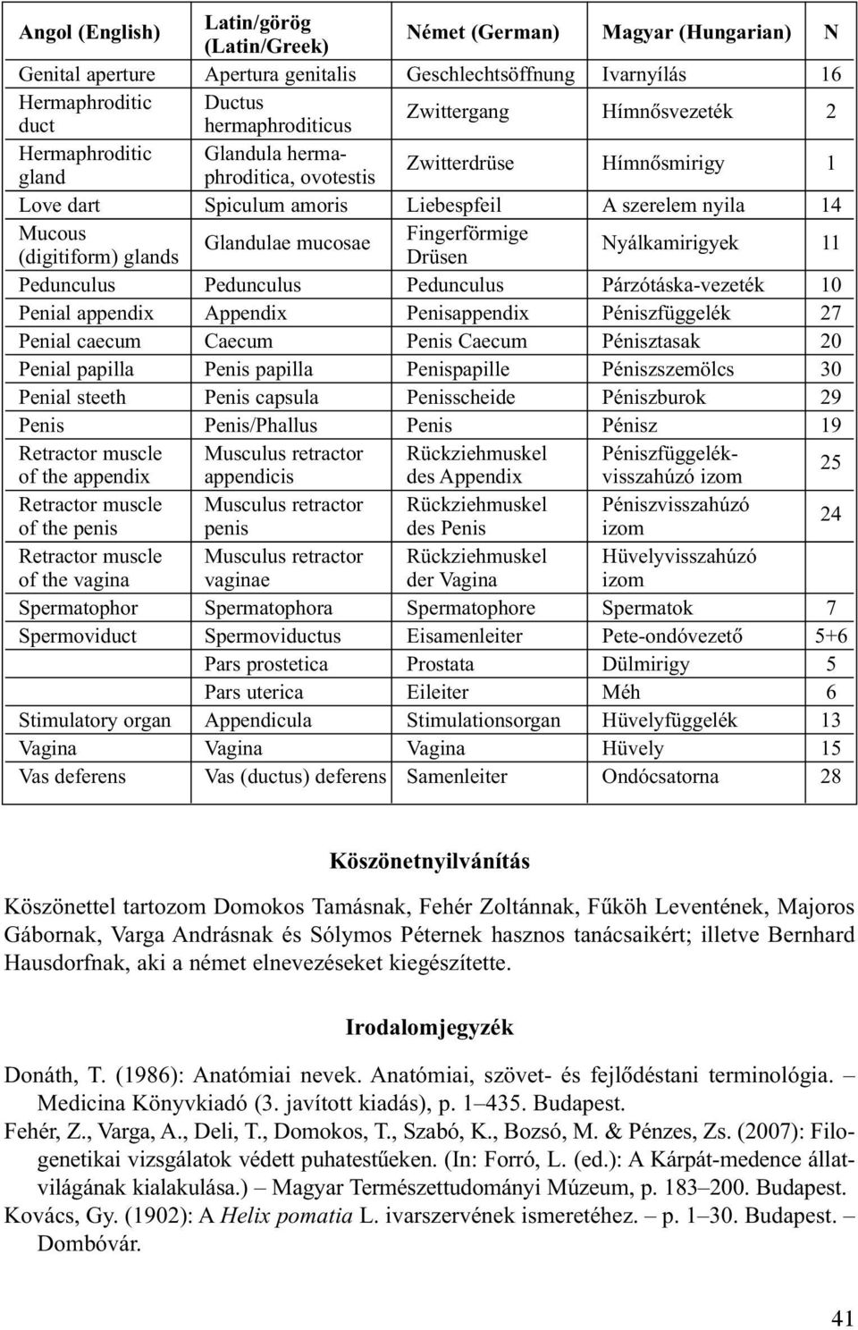 Fingerförmige (digitiform) glands Drüsen Nyálkamirigyek 11 Pedunculus Pedunculus Pedunculus Párzótáska-vezeték 10 Penial appendix Appendix Penisappendix Péniszfüggelék 27 Penial caecum Caecum Penis