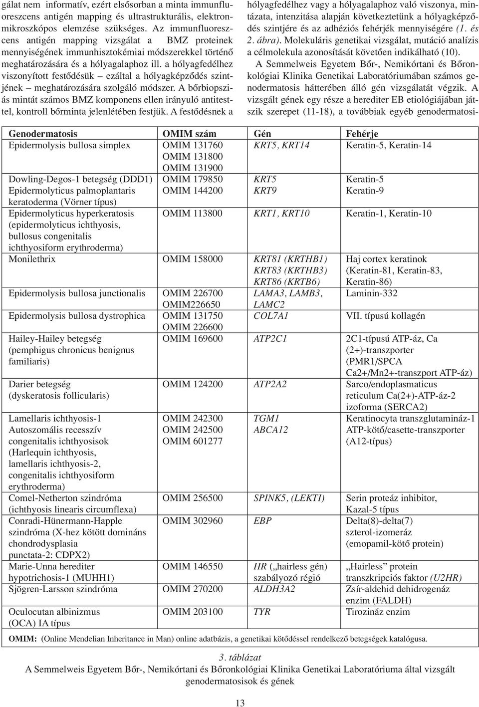 a hólyagfedélhez viszonyított festôdésük ezáltal a hólyagképzôdés szintjének meghatározására szolgáló módszer.