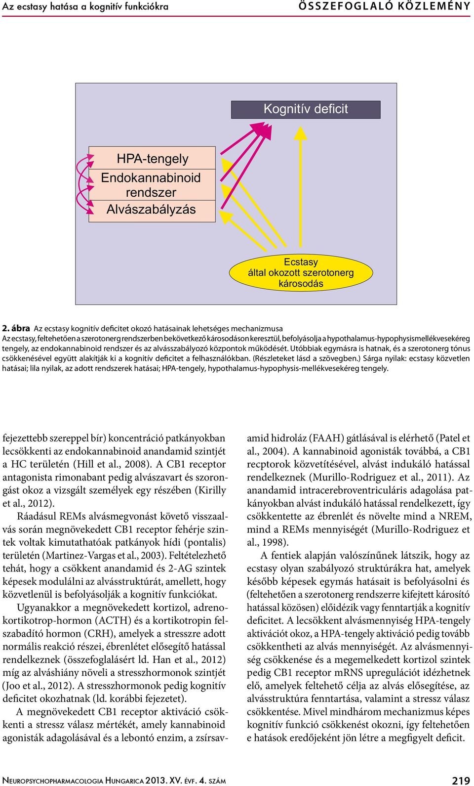 hypothalamus-hypophysismellékvesekéreg tengely, az endokannabinoid rendszer és az alvásszabályozó központok működését.