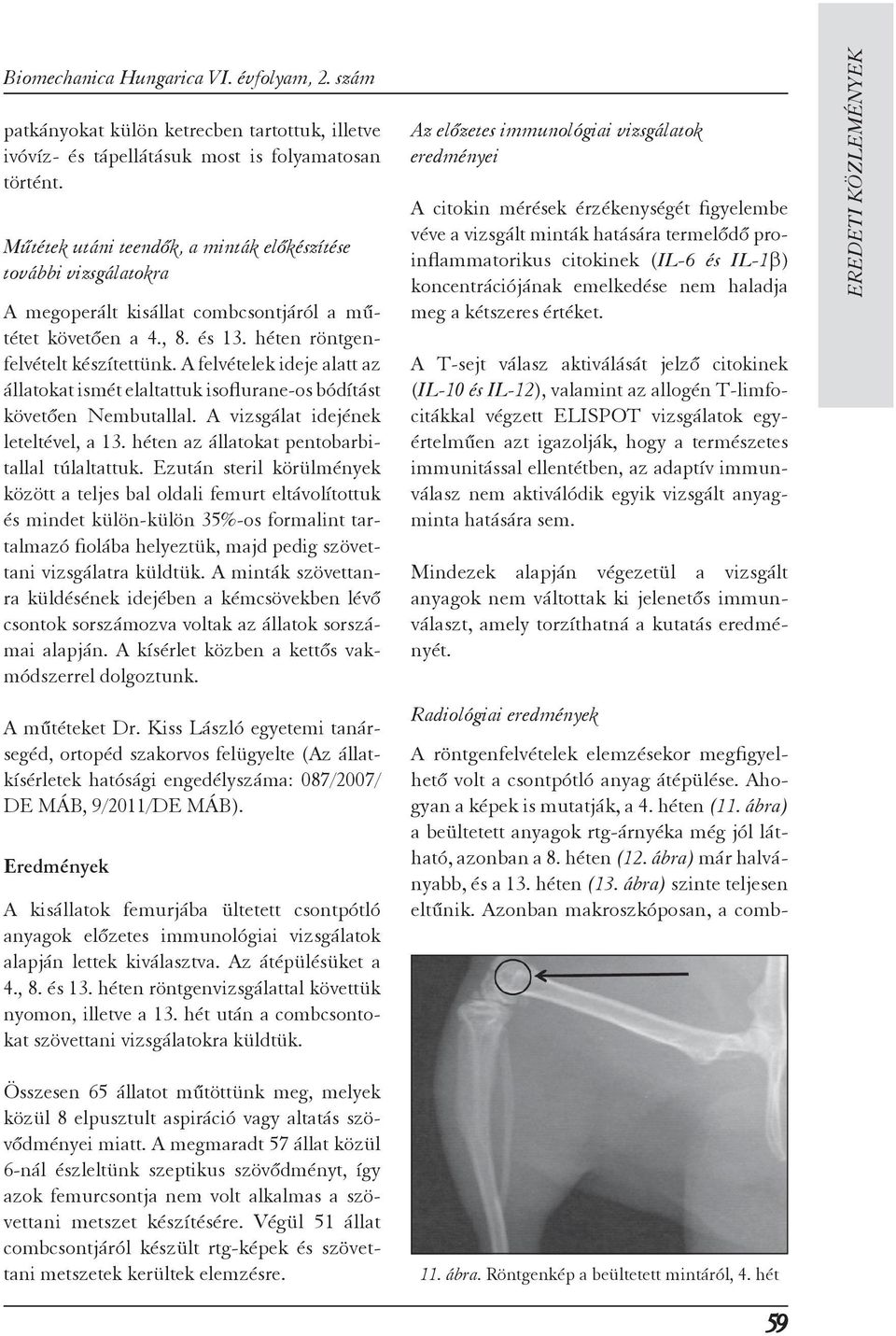 A fel vételek ideje alatt az állatokat ismét elaltattuk isoflurane-os bó dítást követően Nem bu tallal. A vizsgálat ide jének leteltével, a 13. héten az állato kat pen to bar bitallal túlaltattuk.