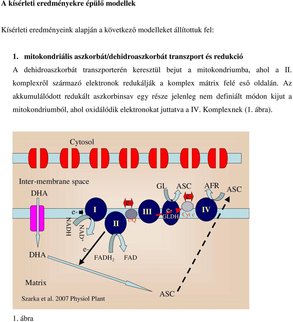 komplexről származó elektronok redukálják a komplex mátrix felé eső oldalán.