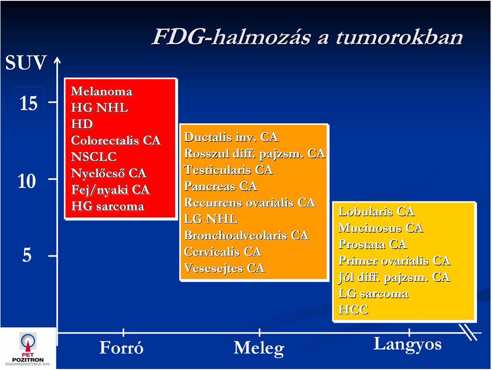 . CA Testicularis is CA Pancreas CA Recurrens rens ovarialis CA LG NHL Bronchoalveolaris CA