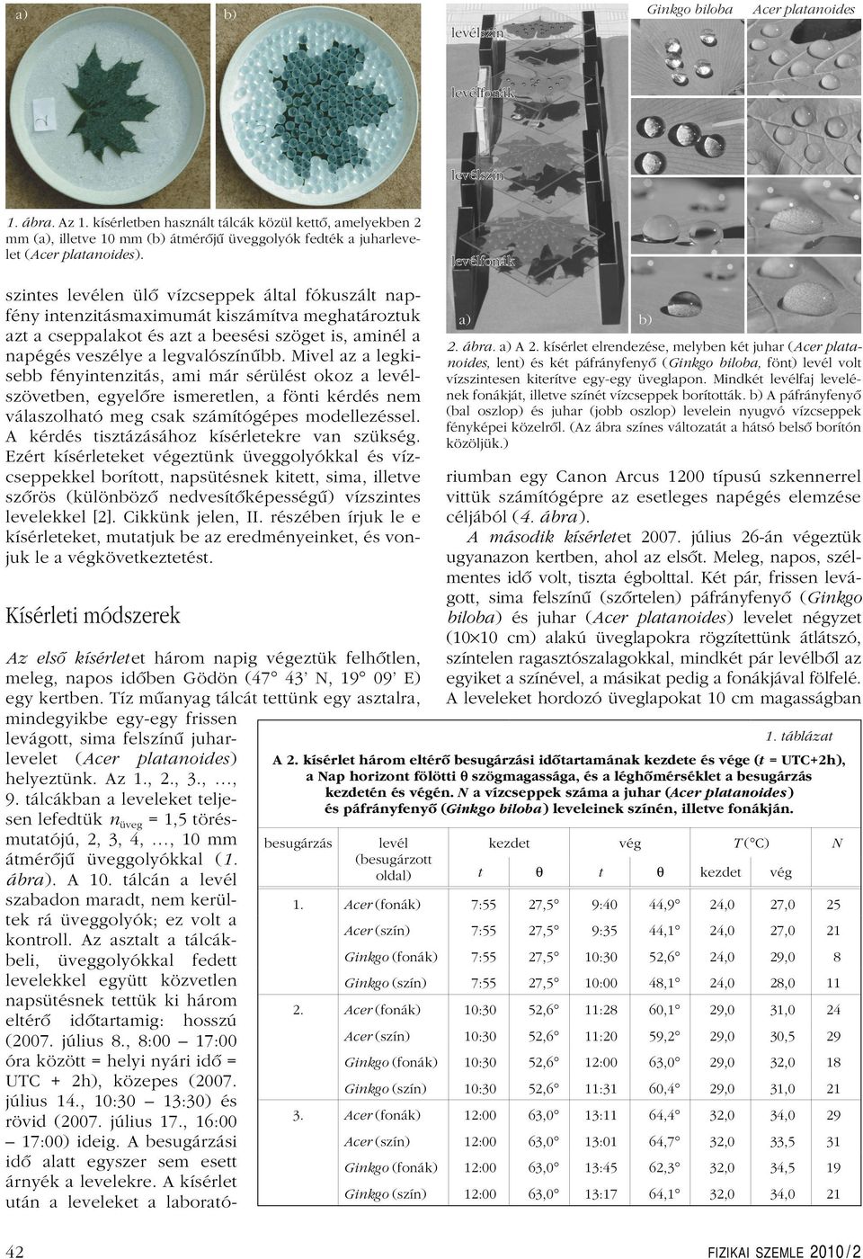 levélfonák szintes levélen ülô vízcseppek által fókuszált napfény intenzitásmaximumát kiszámítva meghatároztuk azt a cseppalakot és azt a beesési szöget is, aminél a napégés veszélye a legvalószínûbb.