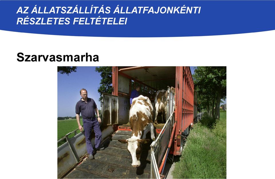 ÁLLATFAJONKÉNTI