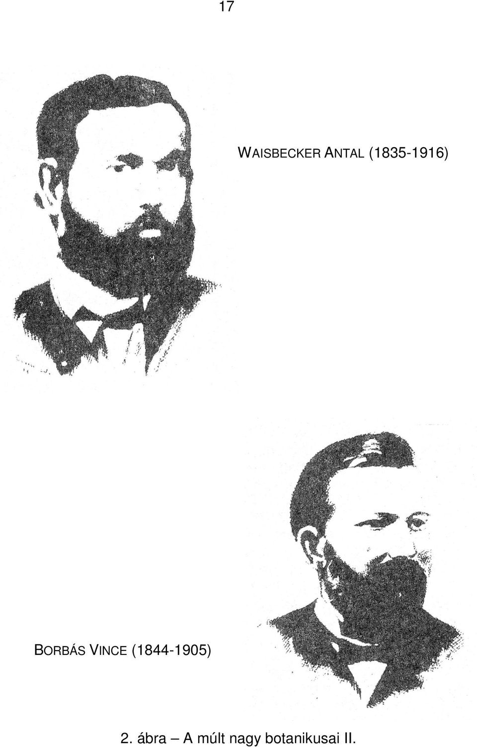 VINCE (1844-1905) 2.