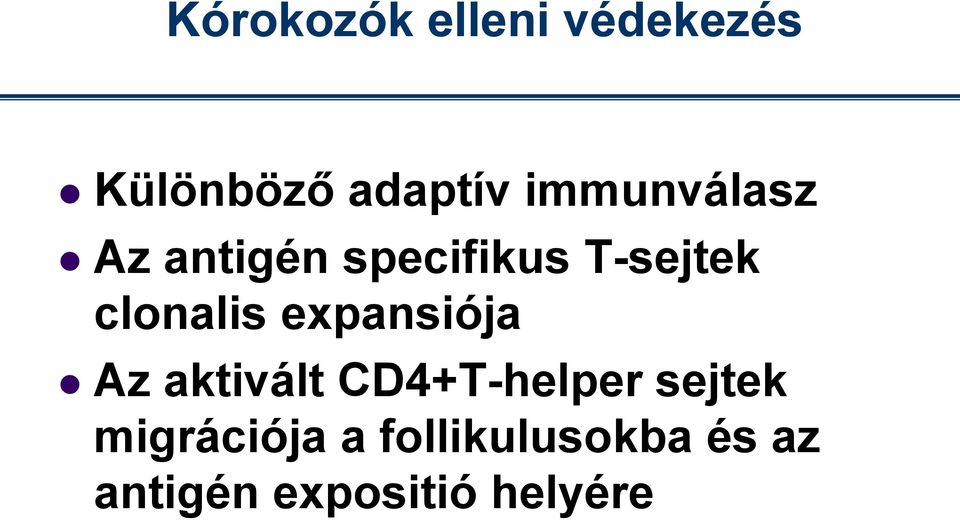 clonalis expansiója Az aktivált CD4+T-helper