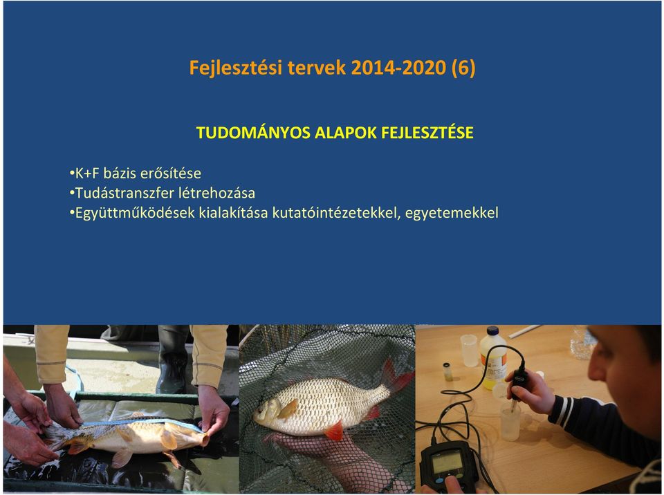 erősítése Tudástranszfer létrehozása