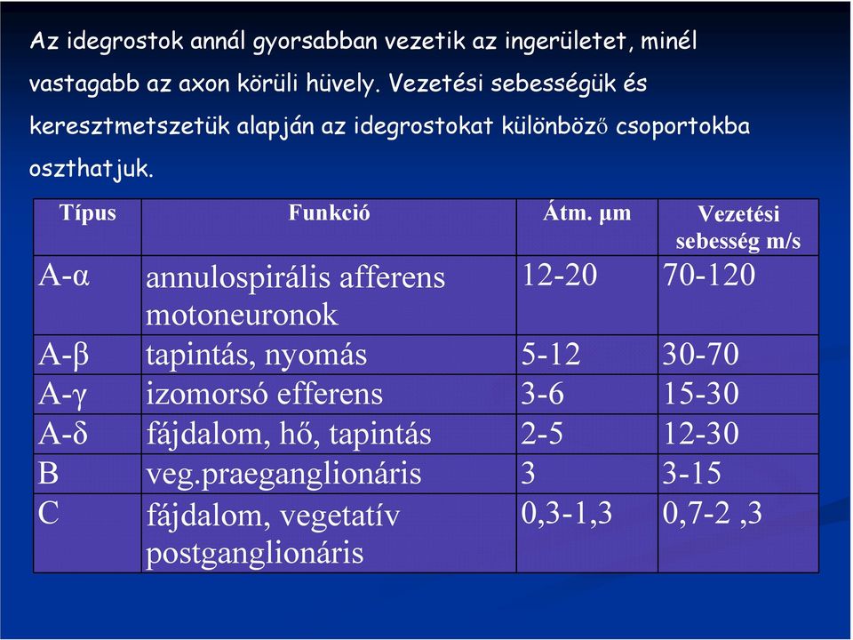 µm Vezetési sebesség m/s A-α annulospirális afferens 12-20 70-120 motoneuronok A-β tapintás, nyomás 5-12 30-70 A-γ