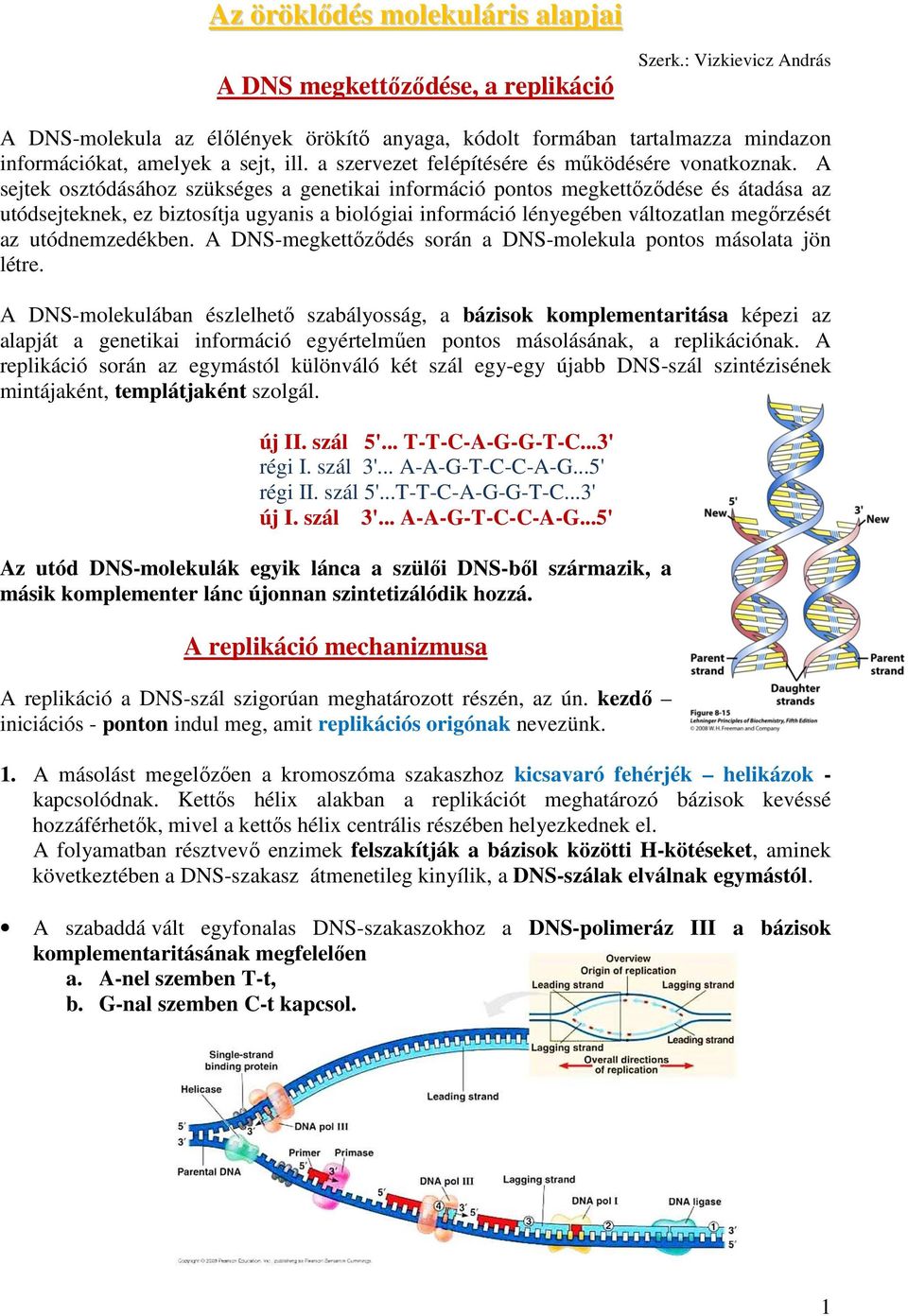 A sejtek osztódásához szükséges a genetikai információ pontos megkettőződése és átadása az utódsejteknek, ez biztosítja ugyanis a biológiai információ lényegében változatlan megőrzését az