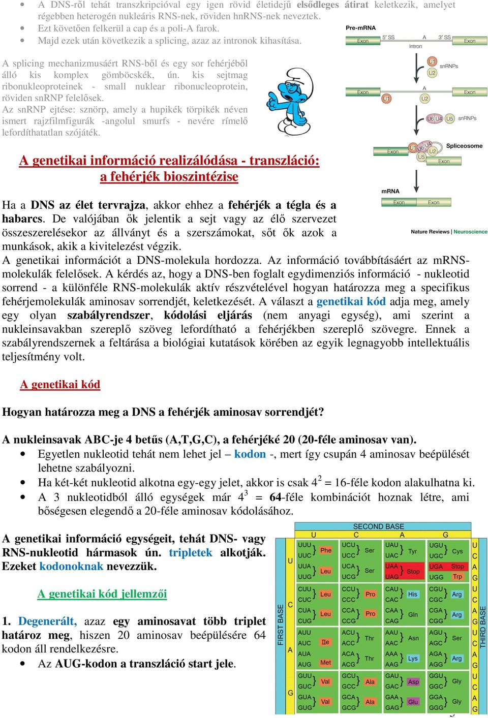 A splicing mechanizmusáért RNS-ből és egy sor fehérjéből álló kis komplex gömböcskék, ún. kis sejtmag ribonukleoproteinek - small nuklear ribonucleoprotein, röviden snrnp felelősek.