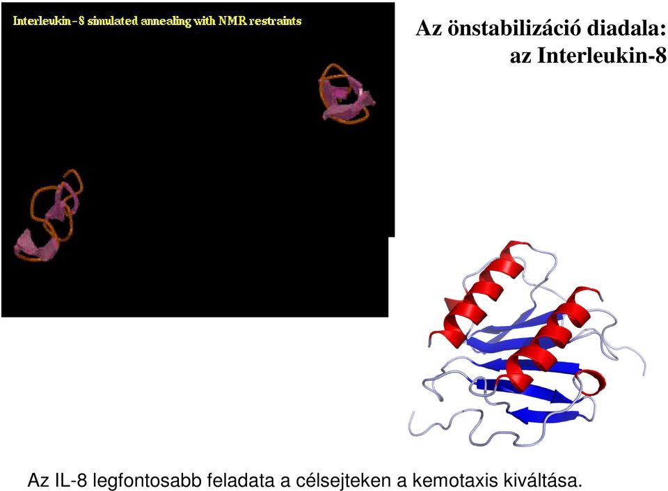 legfontosabb feladata a