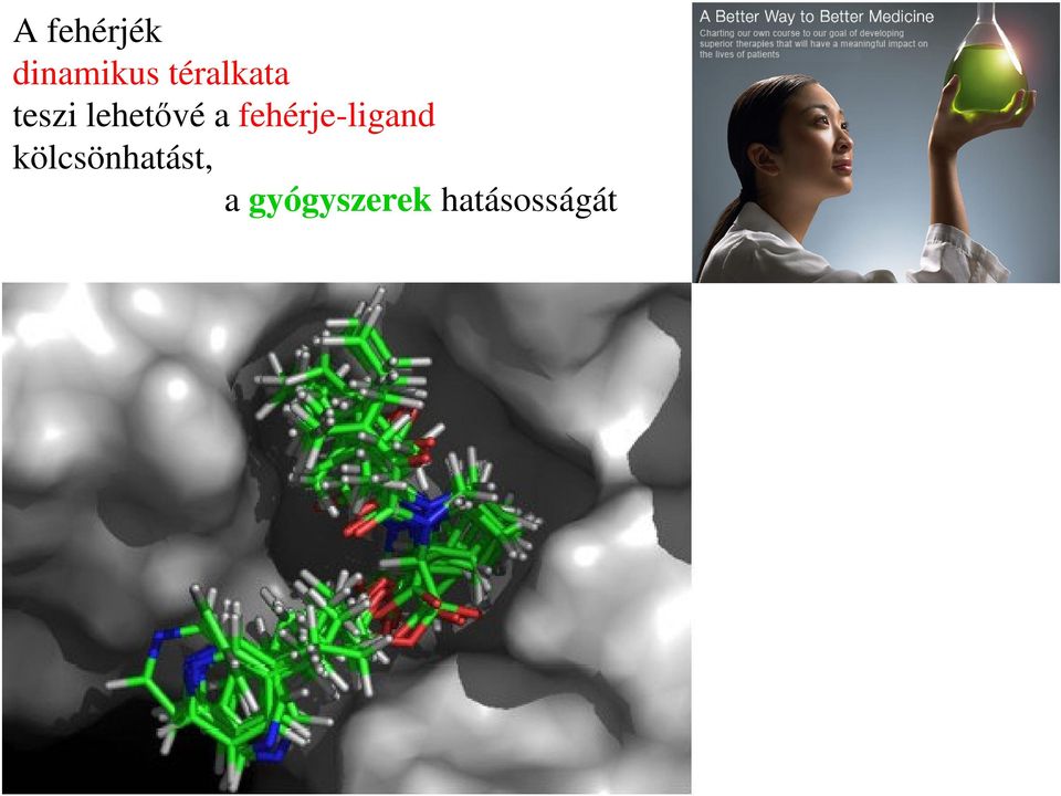 a fehérje-ligand