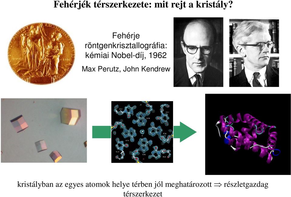 1962 Max Perutz, John Kendrew kristályban az egyes