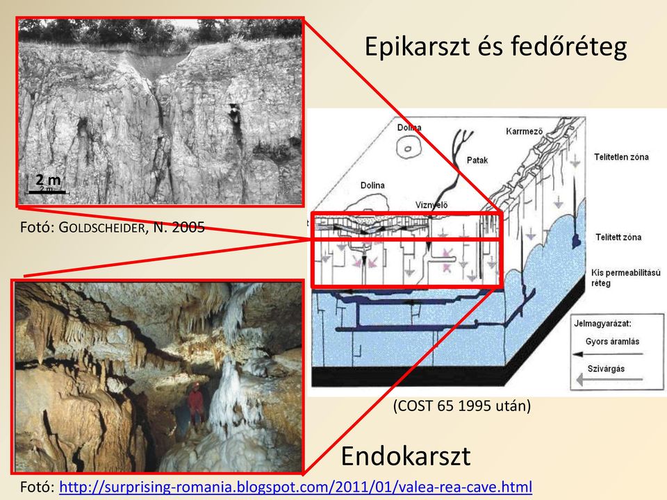 2005 (COST 65 1995 után) Endokarszt