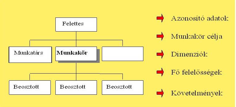 Fő feladatok Munkakör-elemzéssel és értékeléssel összefüggő módszertani feladatok Munkakör-elemzés módszertani felkészítők a közigazgatási szervek részére, személyes