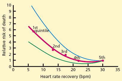 PROGNÓZIS Terhelési kapacitás Chronotop inkompetencia* Szívfrekvencia recovery 1 min Vérnyomás emelkedés/esés Kamrai ritmuszavar ST-depresszió Megjelenés ideje Abszolút nagyság+slope ST/HR slope