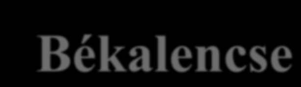 Békalencse A békalencsék a víz felszínén úszó egyszikű, lágyszárú vízinövények.