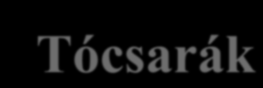 Tócsarák http://gabrinus.hu/e107_plugins/ content/content.php?content.8 A tócsarák egy fajta édesvízi rák, időszakos vizekben megtalálható élőlény.