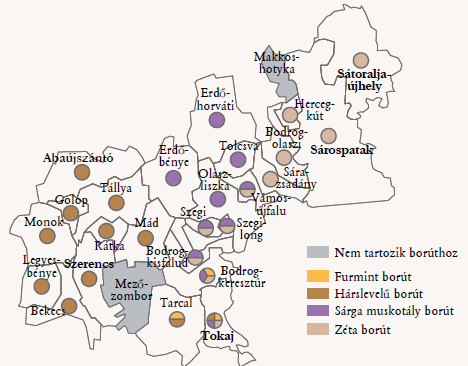 Ismertek a táj jellegzetes szőlőfajtái mentén haladó borutak a Furmint, a Hárslevelű, a Sárga muskotály és a