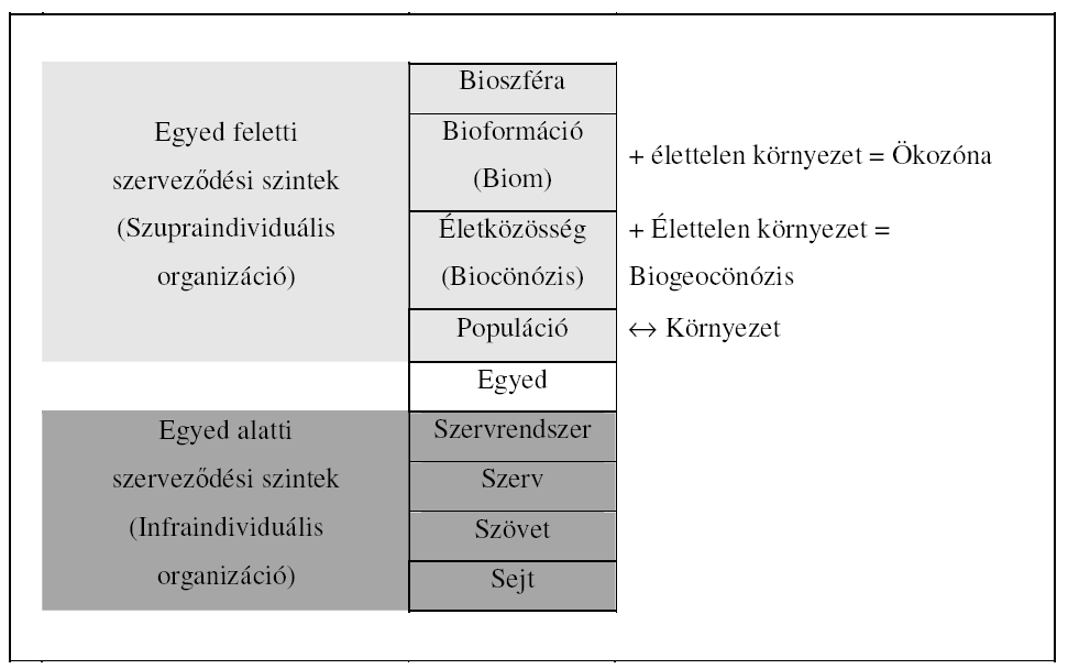 Biológiai szerveződési szintek Szünbiológia (a SIO