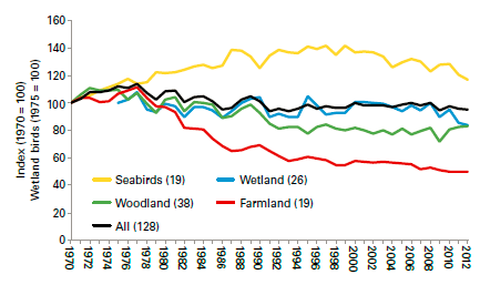példáján Mezei veréb: -93 % Tövisszúró