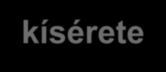 Szállítójármű kísérete Kíséret nélküli (80%), transzkonténeres fuvareszköz (konténer,
