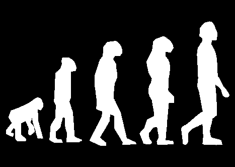 Evolúciós