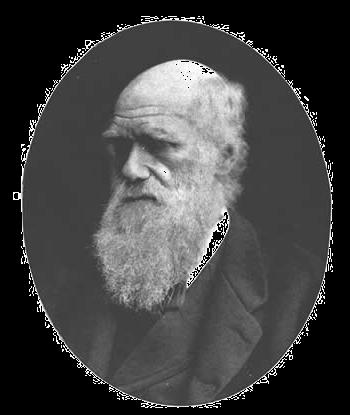 Evolúciós iskolák Charles Darwin 1.