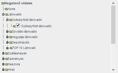 Nyelv: Itt határozhatjuk meg a hírlevél nyelvét. Cím: A levél címe. (ezt csak mi látjuk) A feladó neve: Megadhatjuk, hogy mit lásson az olvasó a feladó nevénél a levelezőjében.