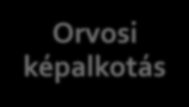 Egészségügyi mérnöki udomány Bioengineering erüleei Bioanyagok Biomechanika Orvosbiológiai eszközök Orvosi és biológiai analízis Rehabiliáció Éleani folyamaok
