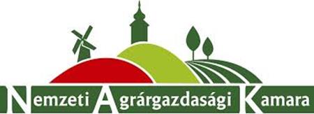 Köszönöm megtisztelő figyelmüket!