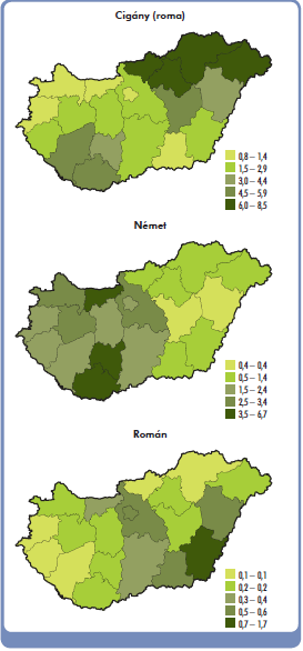 1. ábra A három legnagyob nemzetiséghez tartozók aránya, 2011 ( % ) Forrás: KSH, 2011 Borsod-Abaúj- Zemplén megye lakosságának egyre nagyobb részét teszi ki a roma népesség.