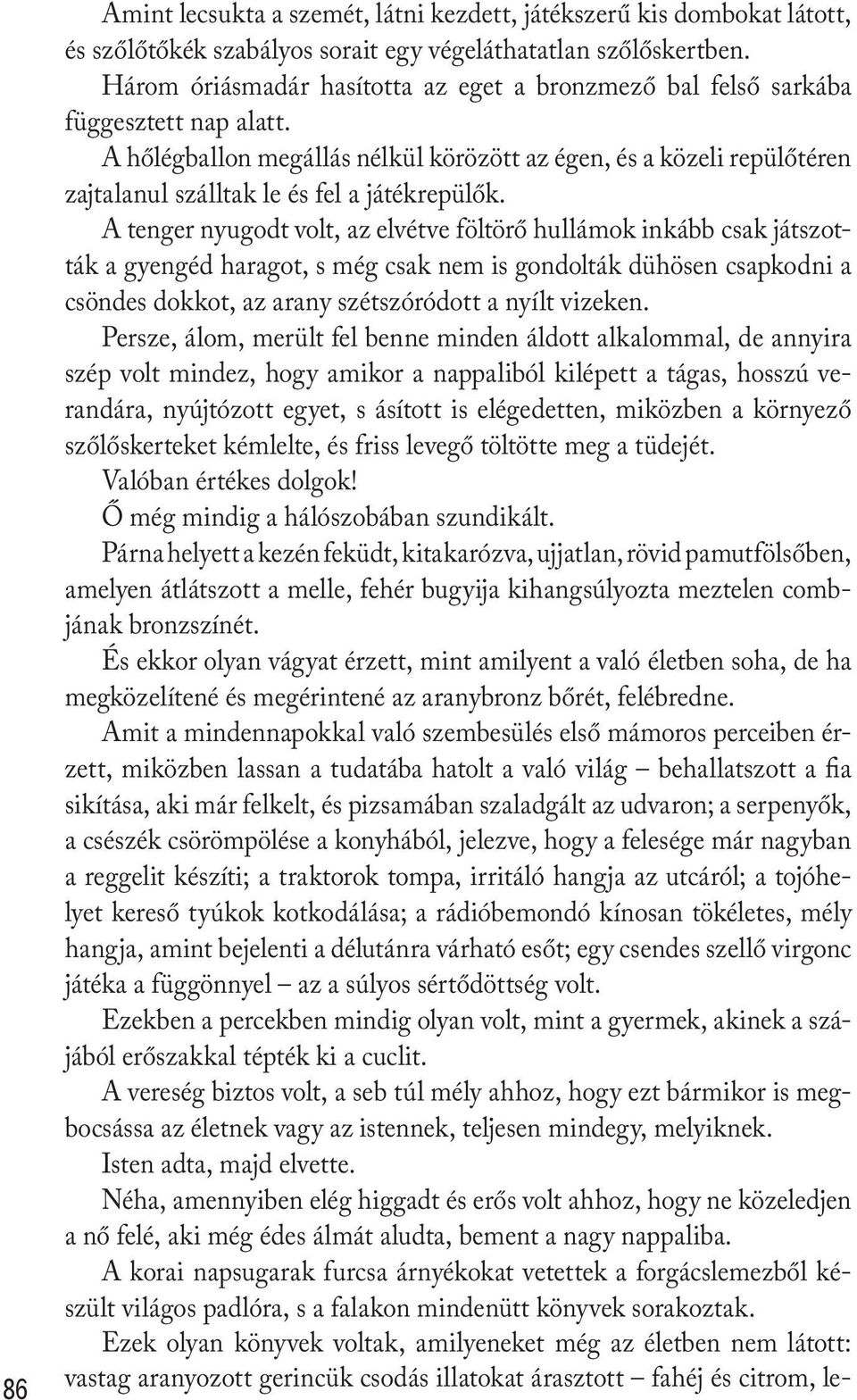 A hőlégballon megállás nélkül körözött az égen, és a közeli repülőtéren zajtalanul szálltak le és fel a játékrepülők.