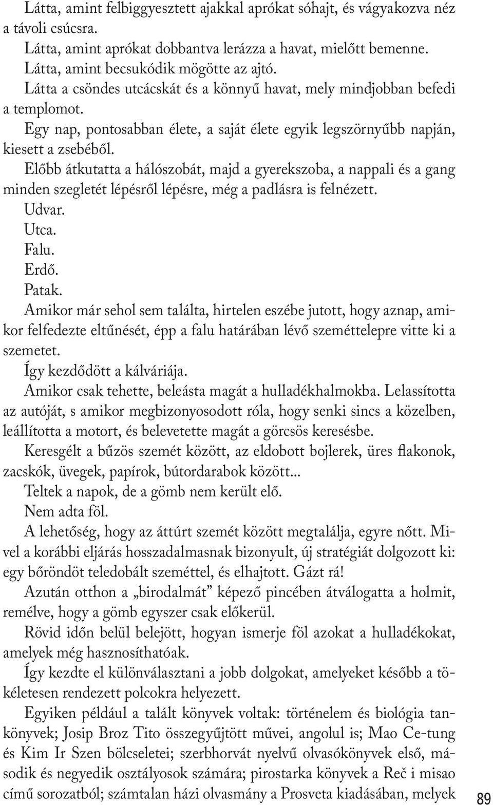 Előbb átkutatta a hálószobát, majd a gyerekszoba, a nappali és a gang minden szegletét lépésről lépésre, még a padlásra is felnézett. Udvar. Utca. Falu. Erdő. Patak.