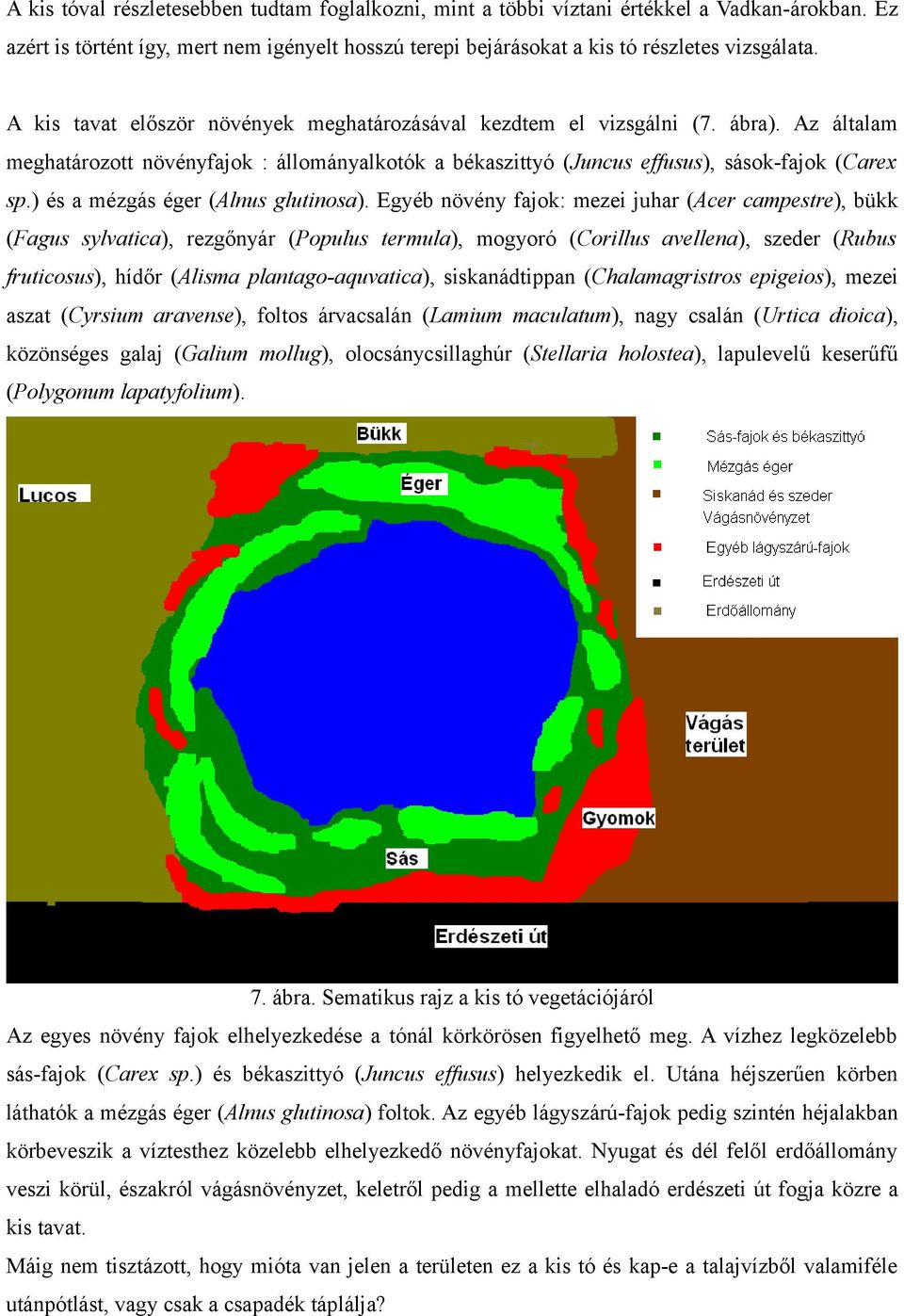 ) és a mézgás éger (Alnus glutinosa).