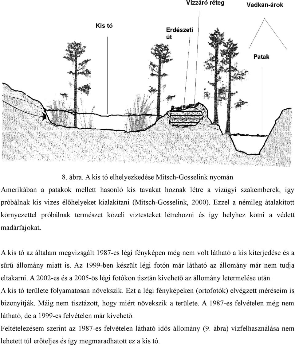 2000). Ezzel a némileg átalakított környezettel próbálnak természet közeli víztesteket létrehozni és így helyhez kötni a védett madárfajokat.